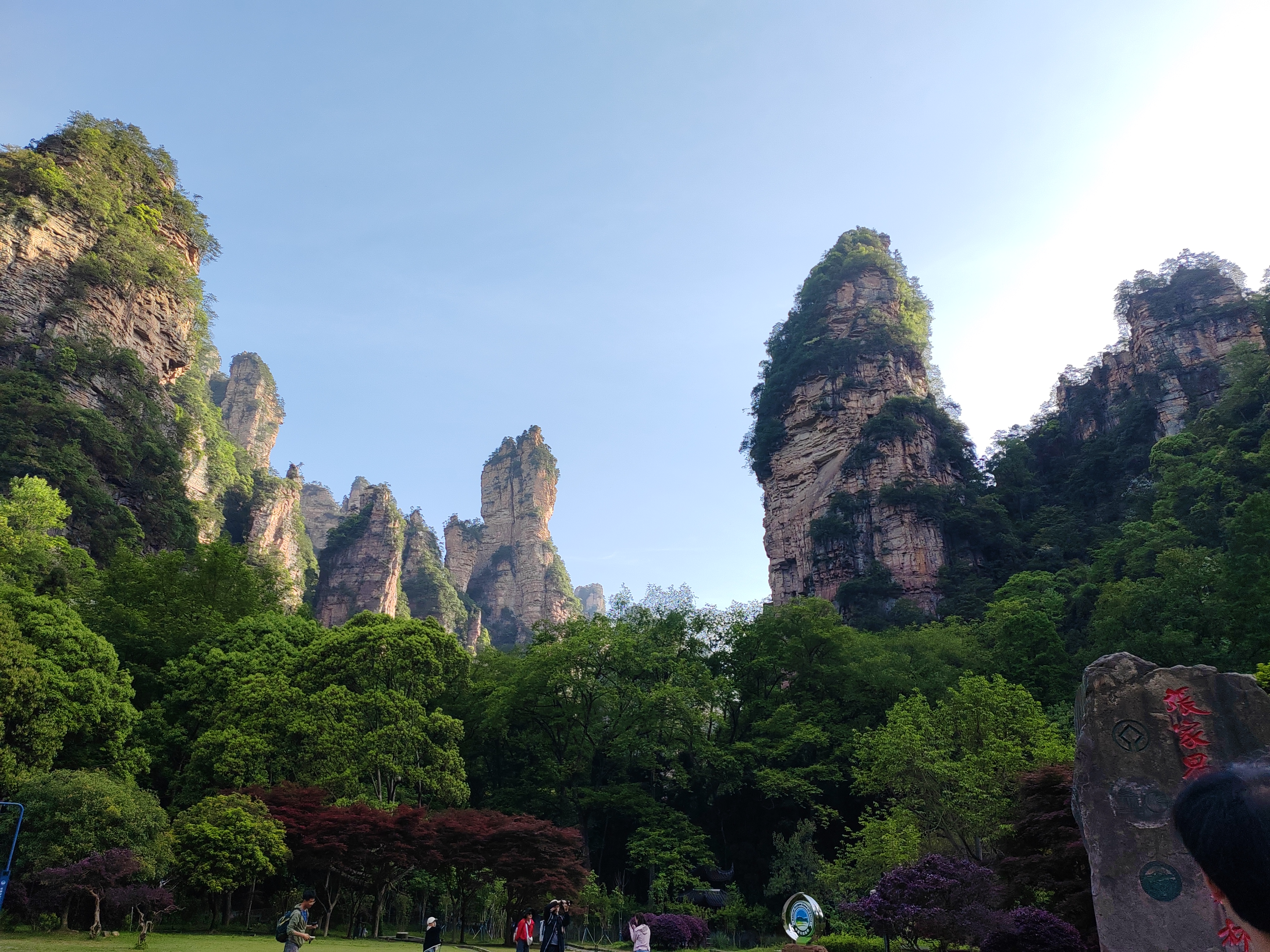 常见的AI IDE对比 的封面