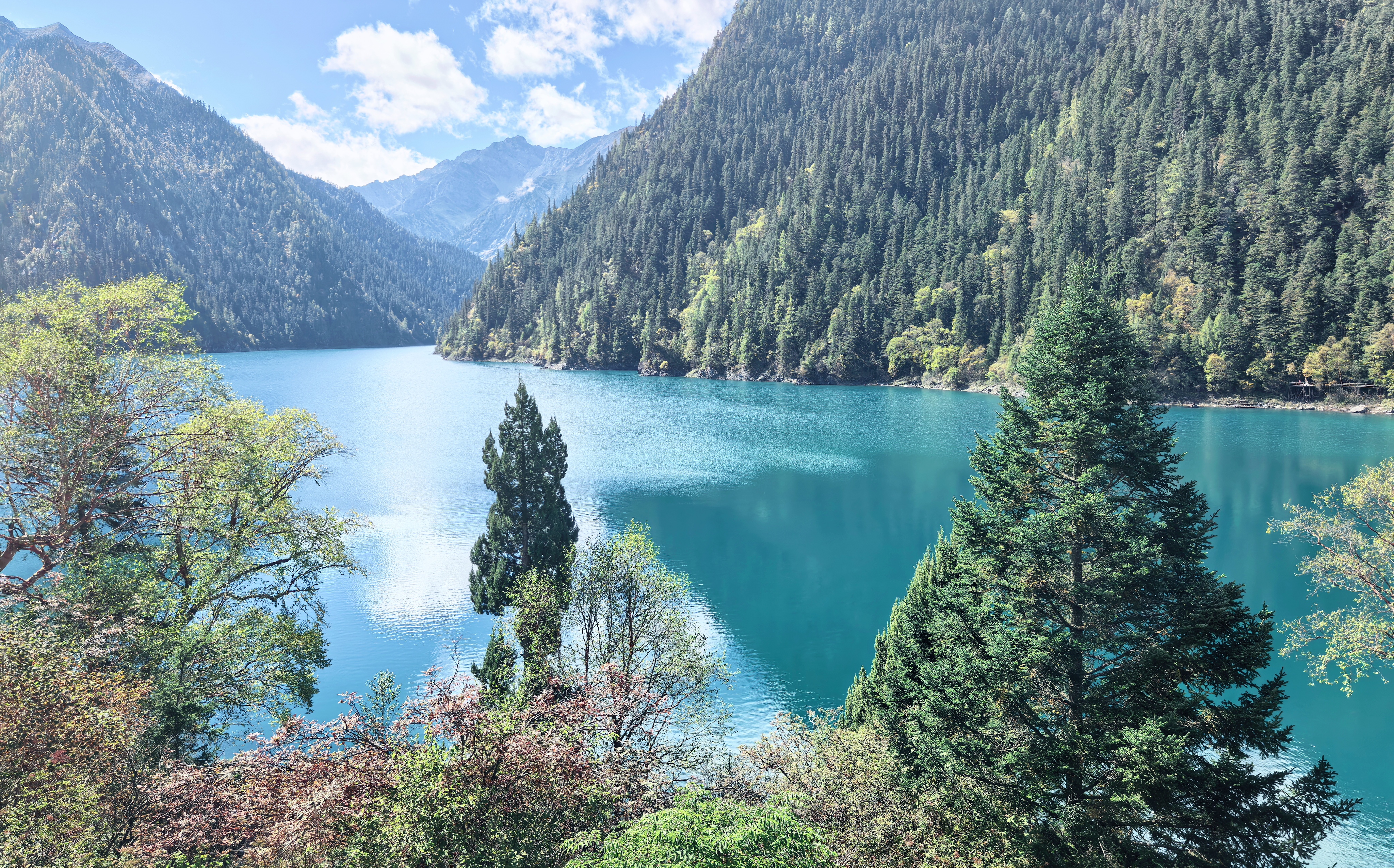 使用python进行文本分析时遇到的问题 的封面