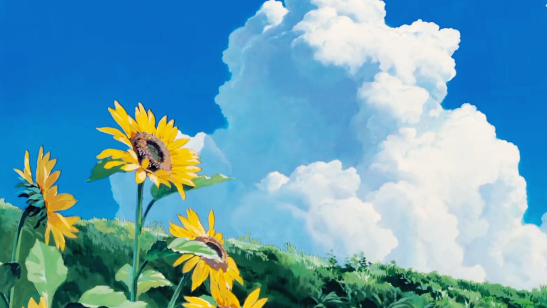 Nginx 反代 DDNS 域名后 IP 变化访问失效解决方案 的封面